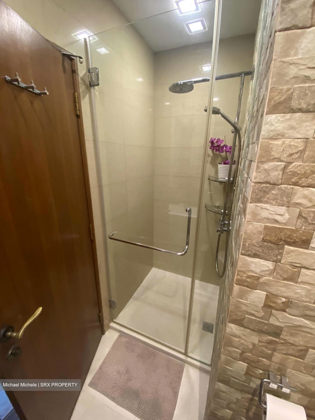 The Arcadia (D11), Condominium #424496981